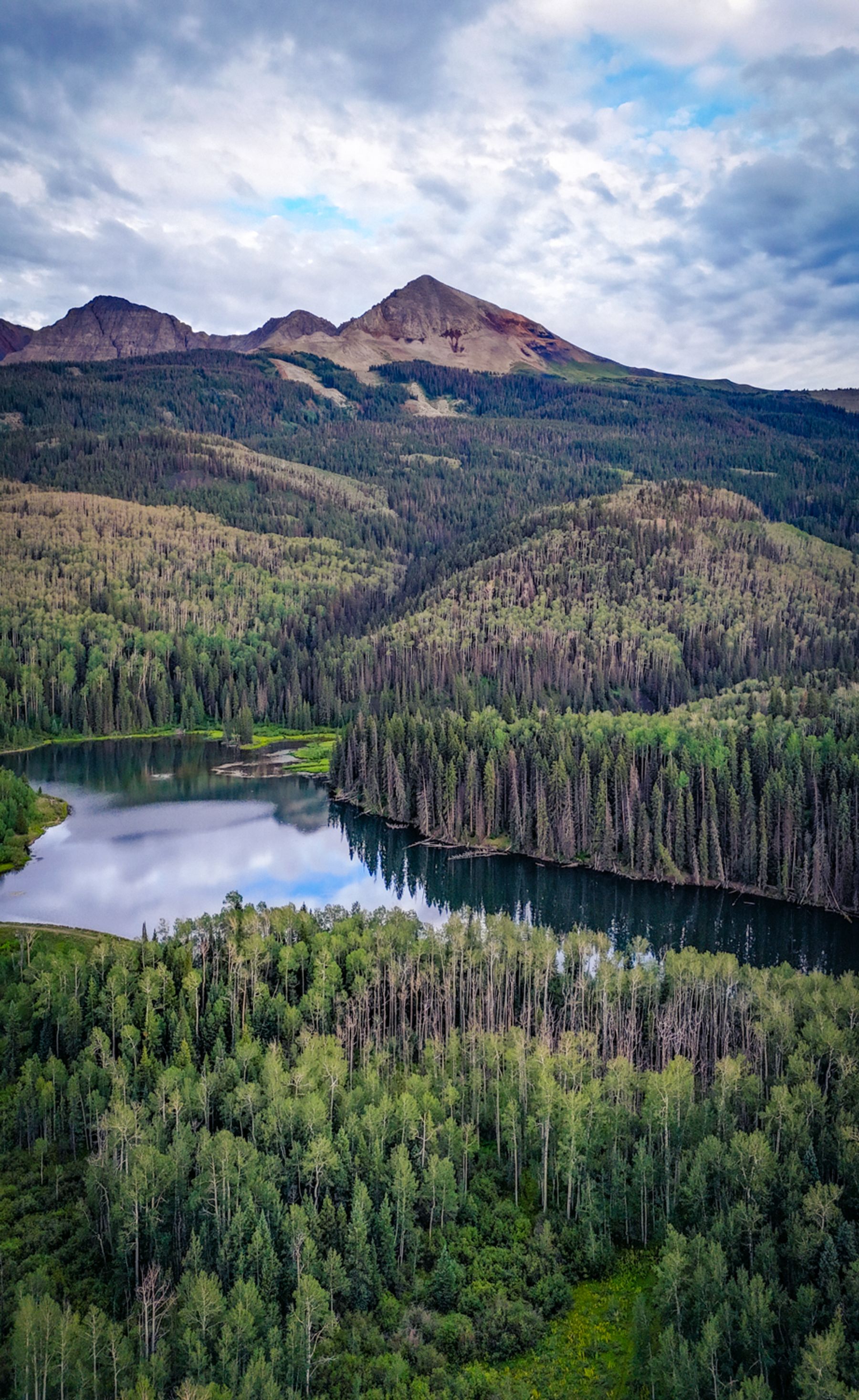 Woods Lake Aerial Morning VERTICAL